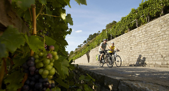 Zwei Radwanderer in den Weinbergen