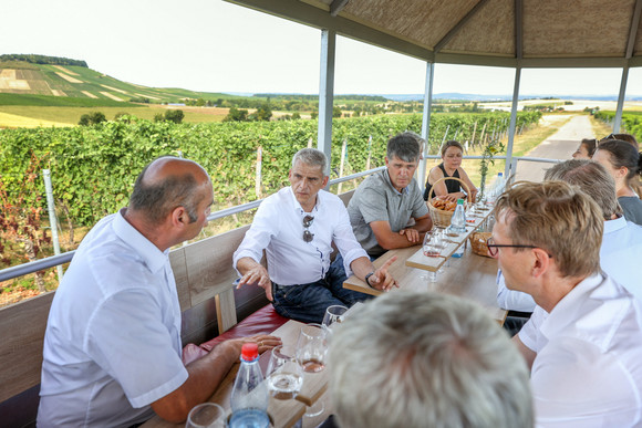 Staatssekretär Rapp im Austausch in den Weinbergen bei Brackenheim