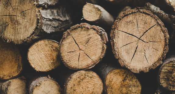 Holzstabel / ©Andrik Langfield / Unsplash