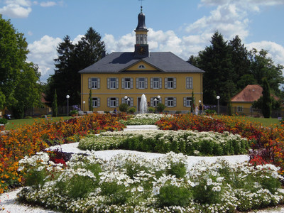 Bad Rappenau