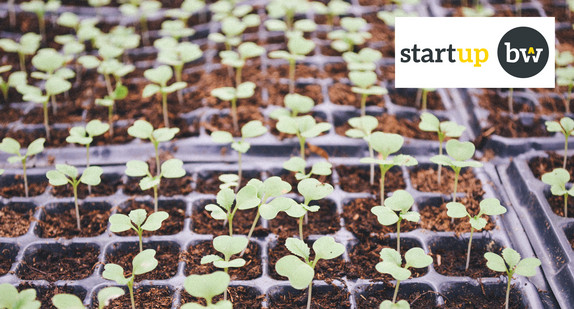Motiv für Startupbw pre-seed (Quelle: chu tai, unsplash)