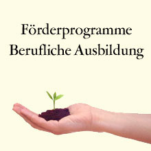 Interner Banner zu den Förderprogrammen Berufliche Bildung