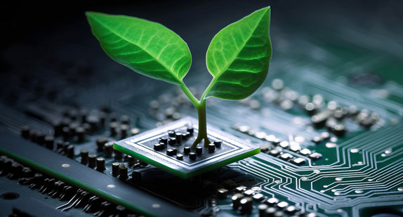 Eine Pflanze wächst aus einem Computer-Chip heraus