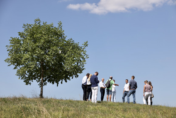 Staatssekretär Rapp wandert auf dem Meteorkrater-Rundweg.