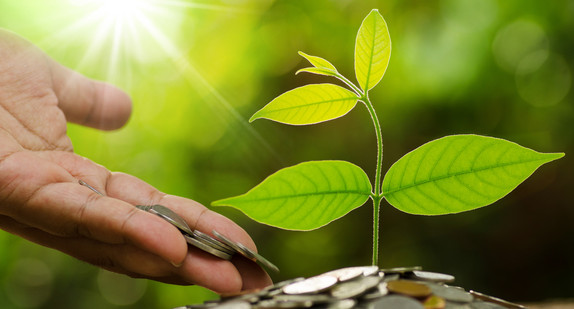 Eine Hand lässt mit Münzgeld ein Pflänzchen wachsen - Symbol für finanzielle Unterstützung