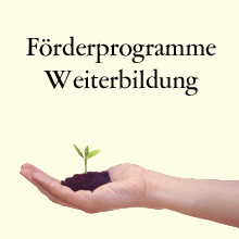 Keimling als Symbol für Förderprogramm