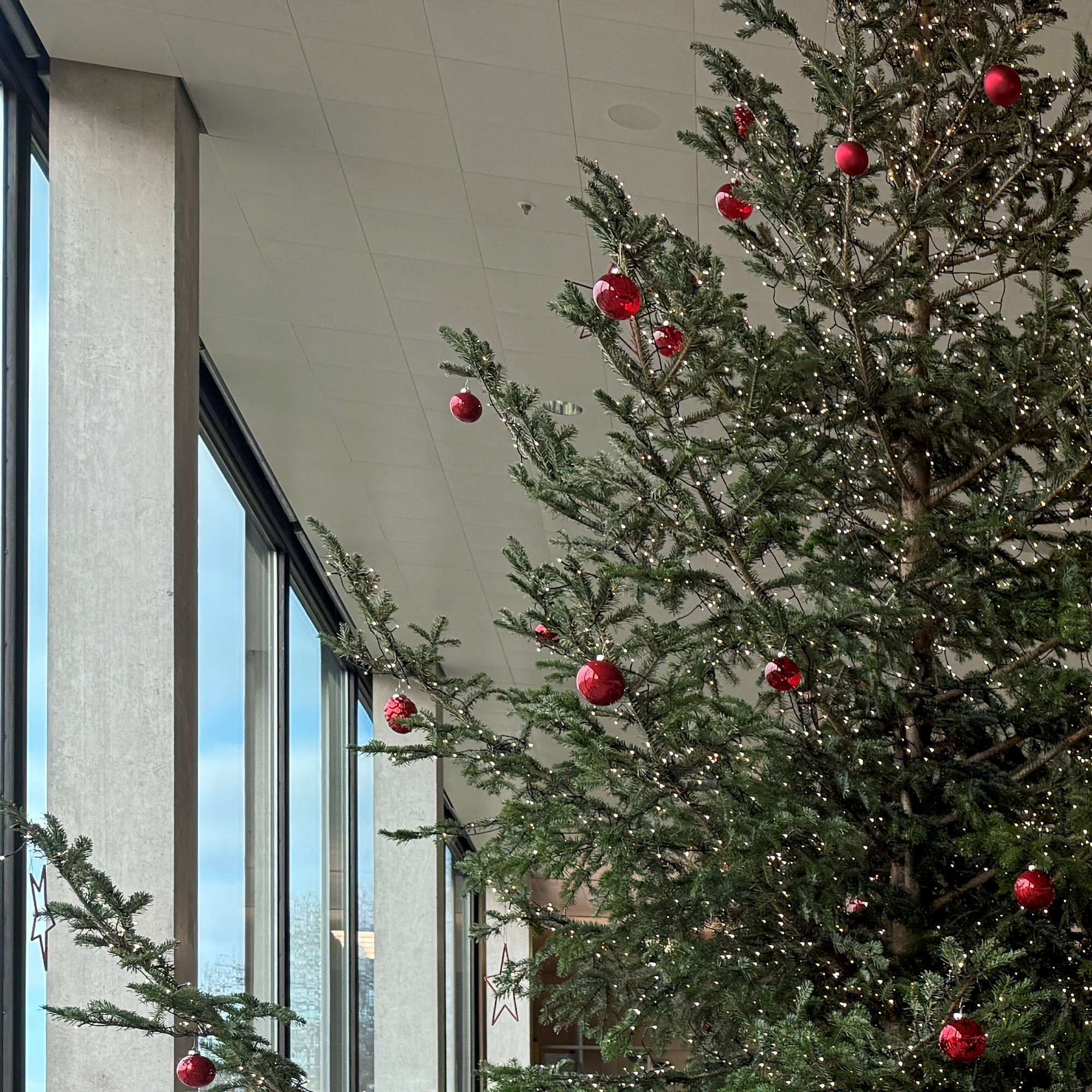 &Uuml;bergabe eines symbolischen F&ouml;rderschecks an die Projektverantwortlichen der Fraunhofer-Gesellschaft f&uuml;r das Projekt &bdquo;Stuttgart Climate Tech Hub&ldquo;