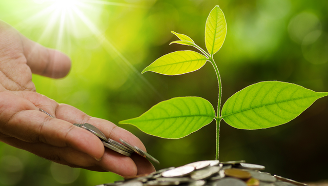 Eine Hand lässt mit Münzgeld ein Pflänzchen wachsen - Symbol für finanzielle Unterstützung