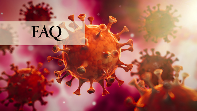 FAQ zur Corona-Pandemie
