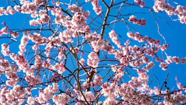 Detuschland, Baden-W&uuml;rttemberg