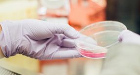 Labor (Bild: &copy; Drew Hays)